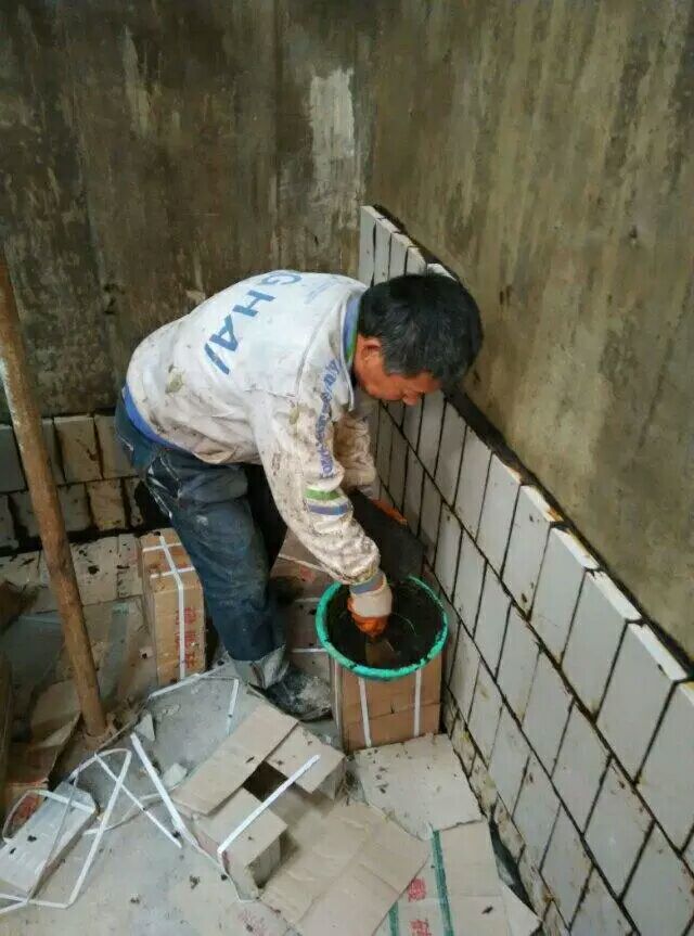豸ڲש